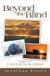 Beyond the Blind - Bild 1