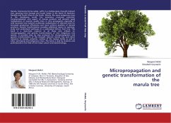 Micropropagation and genetic transformation of the marula tree