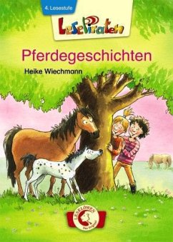 Pferdegeschichten - Wiechmann, Heike