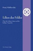 Lilien des Feldes