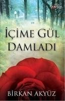 Icime Gül Damladi - Akyüz, Birkan