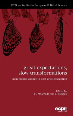 Great Expectations, Slow Transformations Great Expectations, Slow Transformations