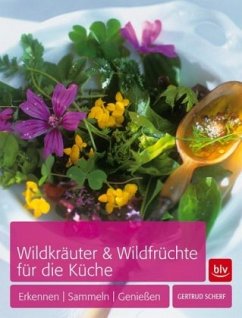 Wildkräuter & Wildfrüchte für die Küche - Scherf, Gertrud