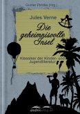 Die geheimnisvolle Insel (eBook, ePUB)