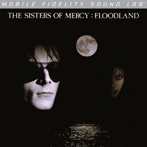 Floodland (Vinyl)