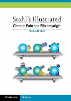 Cover Stahl's Illustrated Chronic Pain and Fibromyalgia (eBook, ePUB)