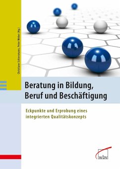 Beratung in Bildung, Beruf und Beschäftigung (eBook, PDF)