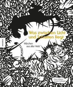 Cover Was zwischen Licht und Schatten liegt