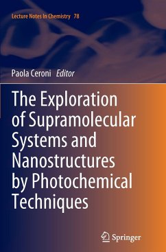 The Exploration of Supramolecular Systems and Nanostructures by Photochemical Techniques