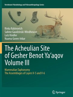 The Acheulian Site of Gesher Benot Ya¿aqov Volume III - Rabinovich, Rivka;Gaudzinski-Windheuser, Sabine;Kindler, Lutz