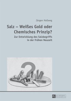 Salz ¿ Weißes Gold oder Chemisches Prinzip? - Hollweg, Jürgen