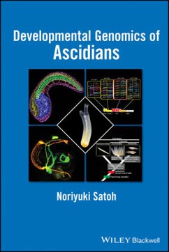 Developmental Genomics of Ascidians (eBook, ePUB) - Satoh, Noriyuki