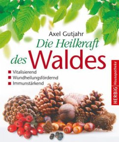 Cover Die Heilkraft des Waldes