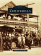 Zephyrhills (eBook, ePUB) - Bild 1