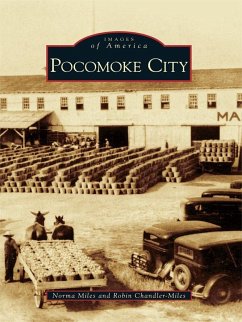 Cover Pocomoke City (eBook, ePUB)