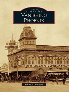 Cover Vanishing Phoenix (eBook, ePUB)