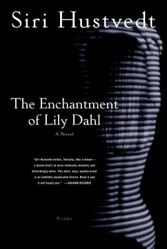 The Enchantment of Lily Dahl (eBook, ePUB) - Hustvedt, Siri