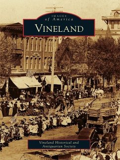 Cover Vineland (eBook, ePUB)