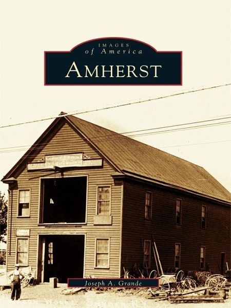 Amherst (eBook, ePUB)