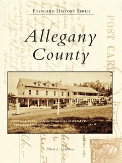 Cover Allegany County (eBook, ePUB)