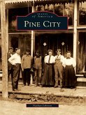 Pine City (eBook, ePUB)