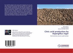 Citric acid production by Aspergillus niger