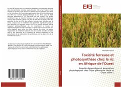 Toxicité ferreuse et photosynthèse chez le riz en Afrique de l'Ouest - Cherif, Mamadou