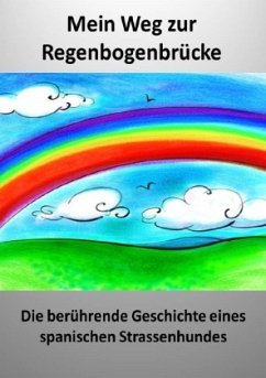 Mein Weg zur Regenbogenbrücke