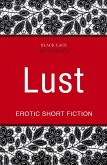 Quickies: Lust (eBook, ePUB) Quickies: Lust (eBook, ePUB)