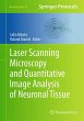 Laser Scanning Microscopy and... - Bild 1