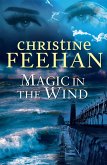 Magic in the Wind (eBook, ePUB) Magic in the Wind (eBook, ePUB)