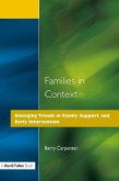 Families in Context (eBook, PDF)