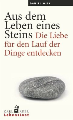 Aus dem Leben eines Steins - Wilk, Daniel