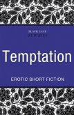 Quickies: Temptation (eBook, ePUB)