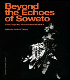 Cover Beyond The Echoes of Soweto (eBook, PDF)