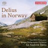 Delius In Norway - Bild 1