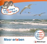 Meer erleben / Lesestart mit Eberhart - Lesestufe 2 H.3