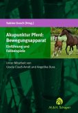 Akupunktur Pferd: Bewegungsapparat