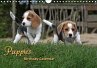 Puppies Birthday Calendar / UK-Version... - Bild 1