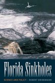 Florida Sinkholes (eBook, ePUB)