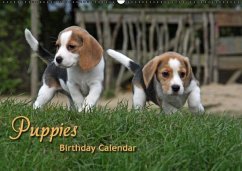 Puppies Birthday Calendar / UK-Version (Wall Calendar perpetual DIN A2 Landscape) - Lindert-Rottke, Antje