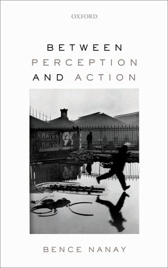 Between Perception and Action (eBook, ePUB) - Nanay, Bence