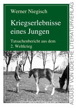 Kriegserlebnisse eines Jungen (eBook, ePUB) - Niegisch, Werner