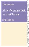 Eine Vergangenheit in zwei Teilen (eBook, ePUB)