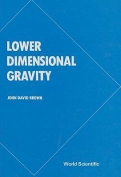 Lower Dimensional Gravity - Brown, John David