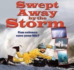 Swept Away by the Storm - Bailey, Gerry