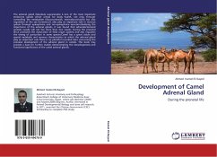 Development of Camel Adrenal Gland - Kamel El-Sayed, Ahmed
