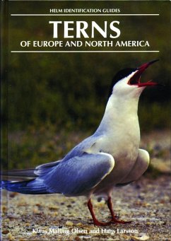 Terns of Europe and North America (eBook, PDF) - Larsson, Hans; Malling Olsen, Klaus