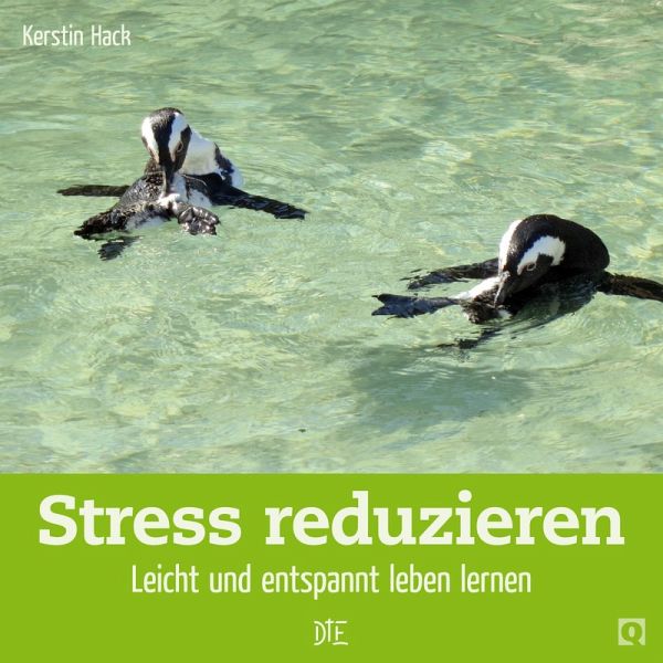 Stress reduzieren (eBook, ePUB)