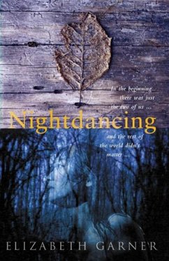 Cover Nightdancing (eBook, ePUB)